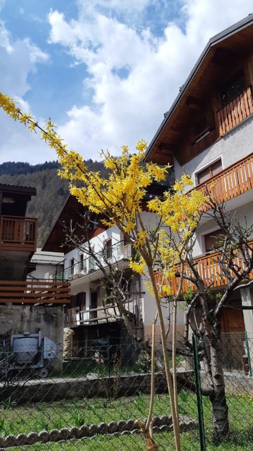 Villa Casa Mascia Cencenighe Agordino Exterior foto
