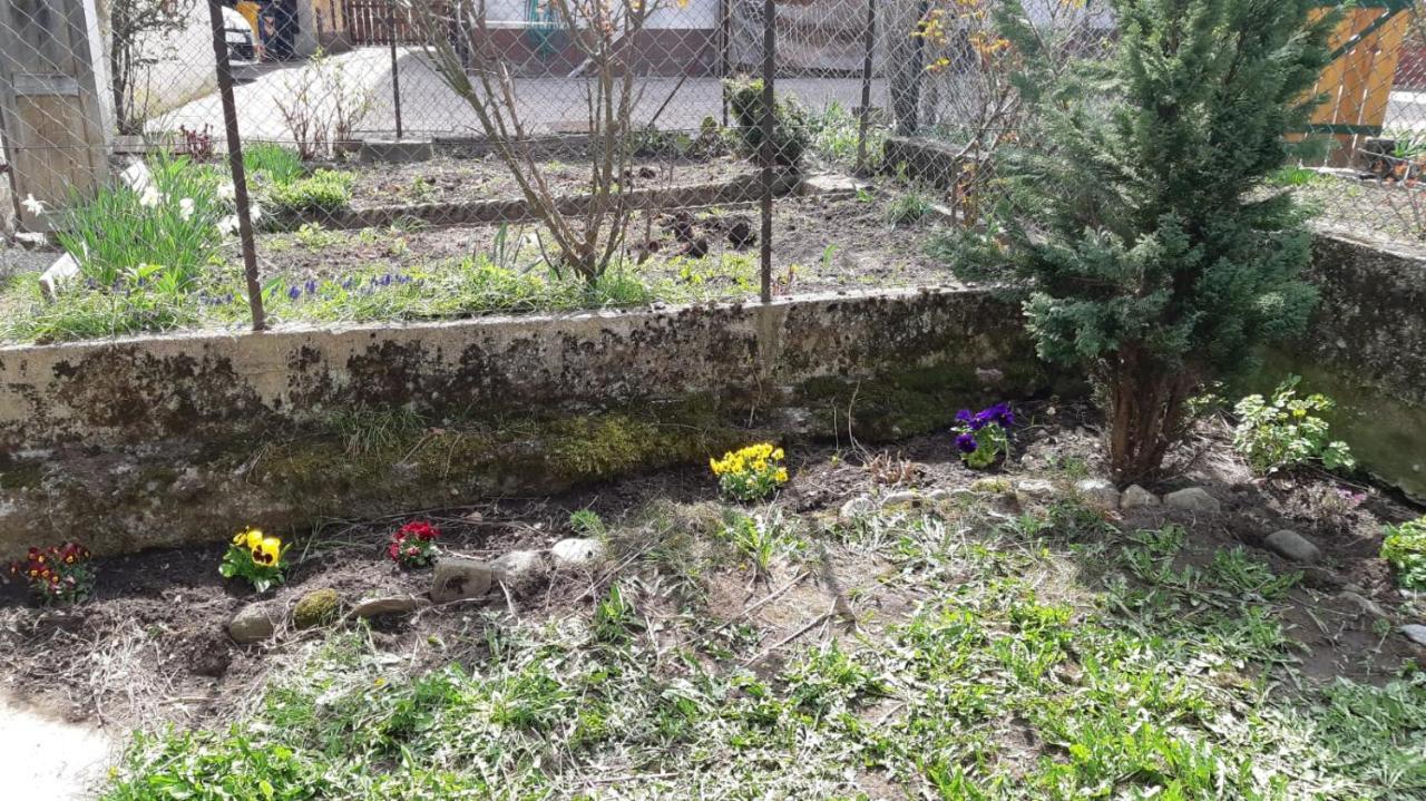 Villa Casa Mascia Cencenighe Agordino Exterior foto